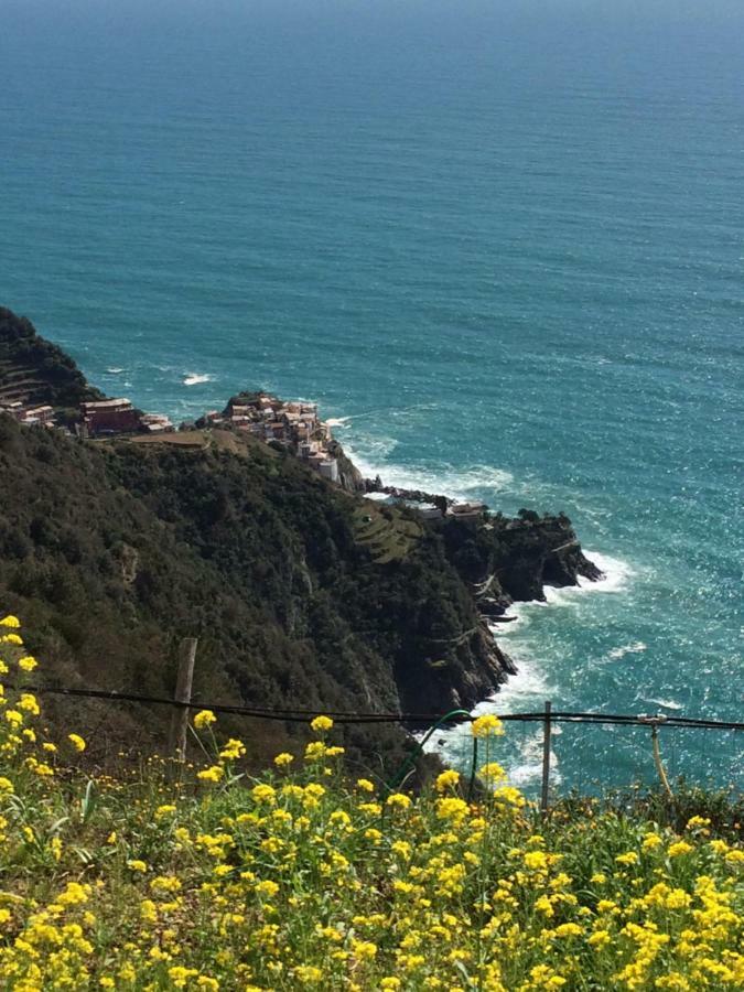 Appartamento Vacanze "Borgo Cinque Terre" Volastra Manarola Exterior foto